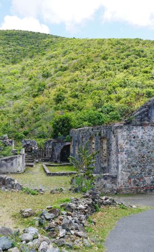 8ASugar Mill Ruins 2-min