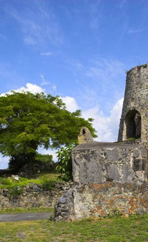 9ASugar Mill Ruins-min